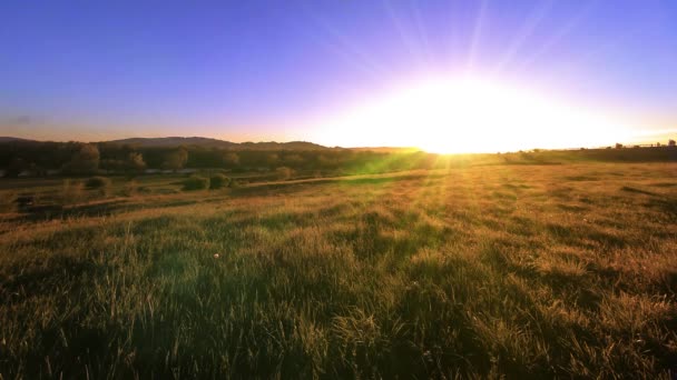 4K UHD Bergwiesen Zeitraffer im Sommer. Wolken, Bäume, grünes Gras und Sonnenstrahlen. — Stockvideo