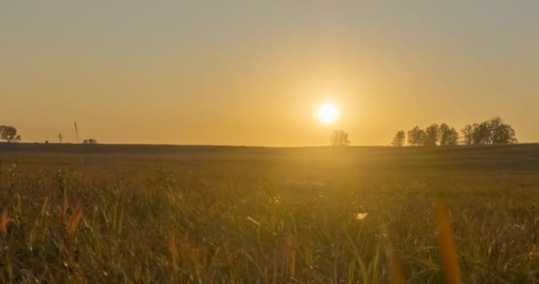 Плоский пагорб луговий часовий пояс в літній час заходу сонця. Дика природа та сільське трав'яне поле. Сонячні промені та дерева. Моторизований ляльковий повзунок — стокове відео