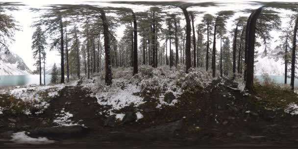 Lago de montaña 360 vr en la época de invierno. Naturaleza salvaje y valle del monte. Bosque verde de pinos y nubes rápidas en el cielo . — Vídeos de Stock