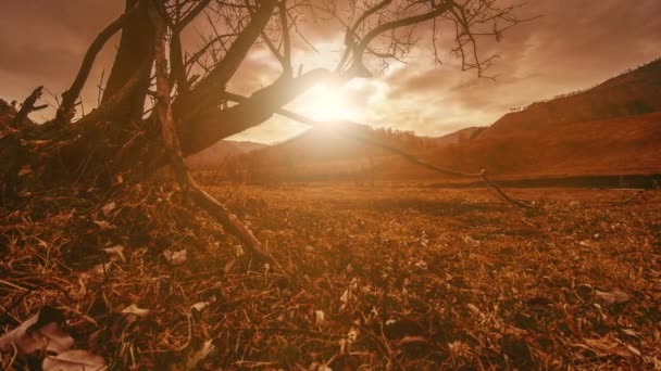 Lapso de tempo da árvore da morte e grama amarela seca na paisagem montanhosa com nuvens e raios de sol. Movimento deslizante horizontal — Vídeo de Stock