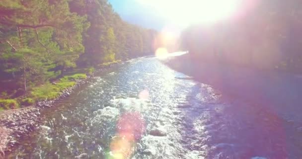 Güneşli yaz sabahında kayalarla birlikte taze, hızlı dağ nehri üzerinde alçak irtifa uçuşu.. — Stok video