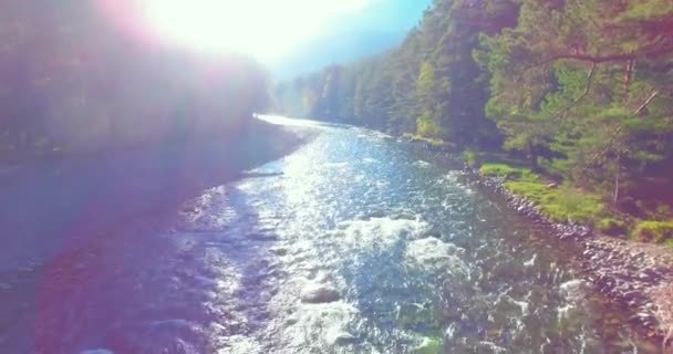 Πτήση χαμηλού υψομέτρου πάνω από φρέσκο γρήγορο ορεινό ποτάμι με βράχια το ηλιόλουστο πρωινό του καλοκαιριού. — Αρχείο Βίντεο