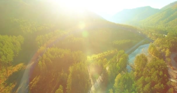 Laaggelegen vlucht over verse snelle bergrivier met rotsen op zonnige zomerochtend. — Stockvideo