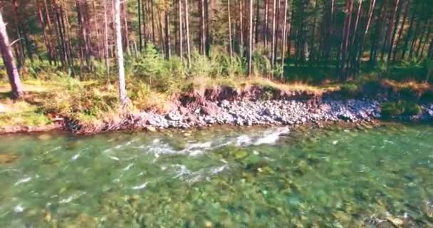 Güneşli yaz sabahında kayalarla birlikte taze, hızlı dağ nehri üzerinde alçak irtifa uçuşu.. — Stok video