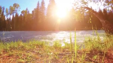 Dağ nehri kıyısındaki çayır. Yeşil çimlerle, çam ağaçlarıyla ve güneş ışınlarıyla kaplı bir manzara. Motorlu kaydırma kulesinde hareket.