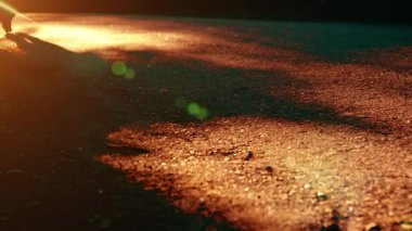 Asfalt yolda koşan sporcu. Kırsal şehir parkı. Yeşil ağaç ormanı ve ufukta güneş ışığı.