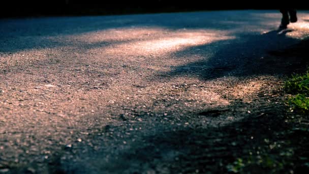 Sport man running at asphalt road. Rural city park. Green tree forest and sun rays on horizon. — Stock Video