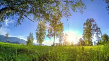 Yaz veya sonbahar aylarında dağ çayır zaman atlamalı. Vahşi doğa ve kırsal alan. Motorlu sürgü dolly hareketi.
