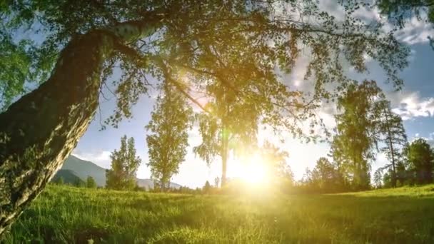 Berg äng Time-lapse på sommaren eller höst tiden. Vild natur och landsbygd. Motoriserad Slider Dolly rörelse. — Stockvideo