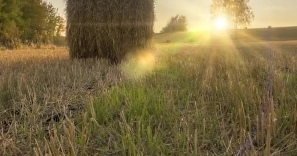 Piano collina prato timelapse all'ora del tramonto estivo. Natura selvaggia e pagliai rurali sul campo di erba. Raggi di sole e alberi verdi. Dispositivo di scorrimento carrello motorizzato — Video Stock