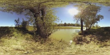 UHD 4K 360 VR Bir nehrin Sanal Gerçekliği güzel dağ ormanlarında kayaların üzerinden akıyor