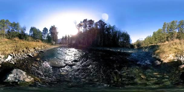 360 VR虚拟现实的野山，松林和河流的流动。国家公园、草地和阳光. — 图库视频影像