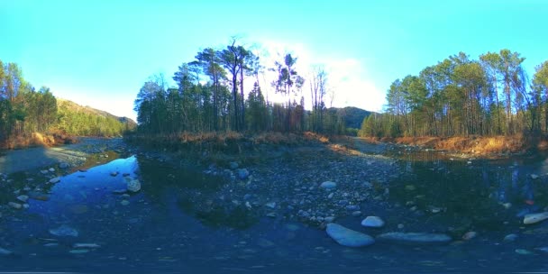 360 VR virtual reality of a wild mountains, pine forest and river flows. National park, meadow and sun rays. — Stock Video