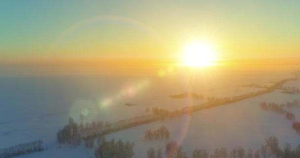 Vue aérienne par drone du paysage hivernal froid avec champ arctique, arbres couverts de neige verglaçante et rayons du soleil matinaux au-dessus de l'horizon. — Video