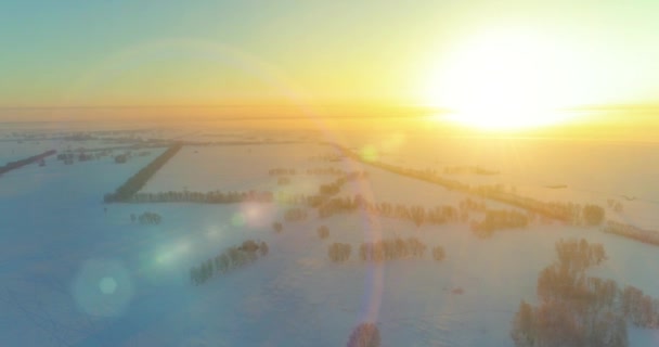 Luchtfoto drone uitzicht op koud winterlandschap met poolveld, bomen bedekt met vorst sneeuw en ochtendzon stralen over horizon. — Stockvideo