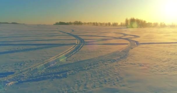 Veduta aerea drone del freddo paesaggio invernale con campo artico, alberi coperti di neve gelo e raggi del sole del mattino all'orizzonte. — Video Stock