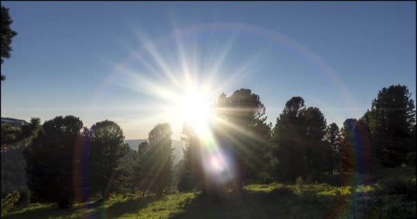 Mountain meadow timelapse. Wild nature and rural field. Clouds, trees, green grass and sun rays movement. Camera motion. — Stock Video