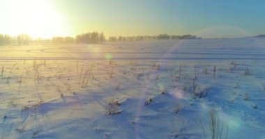 Arktik çayırlı soğuk kış manzarası, karla kaplı ağaçlar ve ufukta sabah güneşleri..