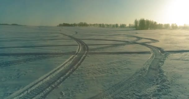 Vista aérea do drone da paisagem fria do inverno com campo ártico, árvores cobertas com neve da geada e raios do sol da manhã sobre o horizonte. — Vídeo de Stock