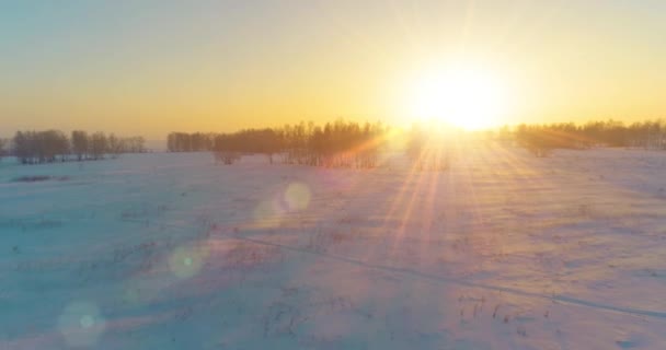 Vista aérea de drones del frío paisaje invernal con campo ártico, árboles cubiertos de nieve helada y rayos de sol matutinos sobre el horizonte. — Vídeos de Stock