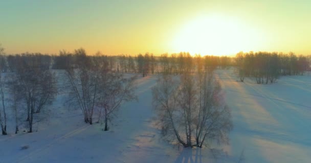 Flygdrönare syn på kallt vinterlandskap med arktiska fält, träd täckta med frost snö och morgonsol strålar över horisonten. — Stockvideo