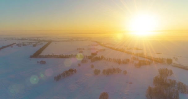 Letecký bezpilotní pohled na studenou zimní krajinu s arktickým polem, stromy pokryté mrazivým sněhem a ranními slunečními paprsky nad obzorem. — Stock video