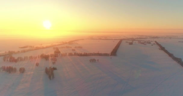 Воздушный беспилотник с видом на холодный зимний пейзаж с арктическим полем, деревья, покрытые морозным снегом и утренние солнечные лучи над горизонтом. — стоковое видео