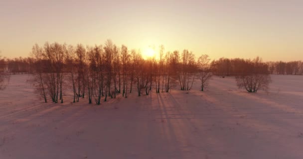 Vista aérea do drone da paisagem fria do inverno com campo ártico, árvores cobertas com neve da geada e raios do sol da manhã sobre o horizonte. — Vídeo de Stock