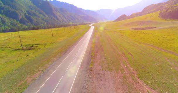 Flug über asphaltierte Bergstraße und Wiese — Stockvideo