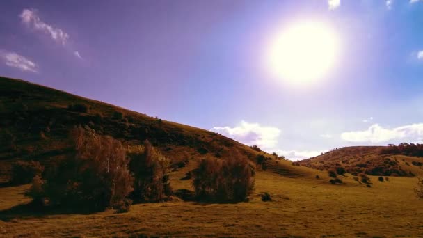 Tempo sul prato di montagna durante l'estate. Nuvole, alberi, erba verde e raggi del sole movimento. — Video Stock