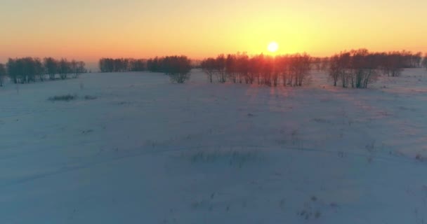 Воздушный беспилотник с видом на холодный зимний пейзаж с арктическим полем, деревья, покрытые морозным снегом и утренние солнечные лучи над горизонтом. — стоковое видео