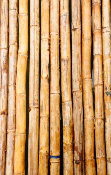 Fondo Bambú Con Tonos Naturales Cálidos —  Fotos de Stock
