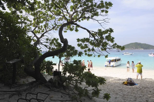 Симийские Острова Пханг Нга Таиланд Пляжи Симиланских Островов Известный Туристический — стоковое фото