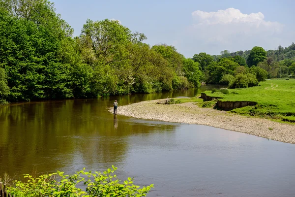 Pêcheur sur la rivière Teifi . — Photo