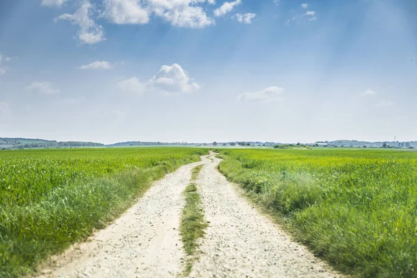 Road through the fields — Stock Photo, Image