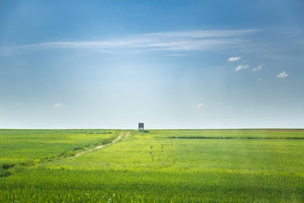 Tower on wheat field — Stock Photo, Image