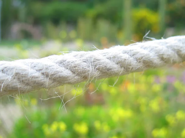  broken white rope in the forest                             