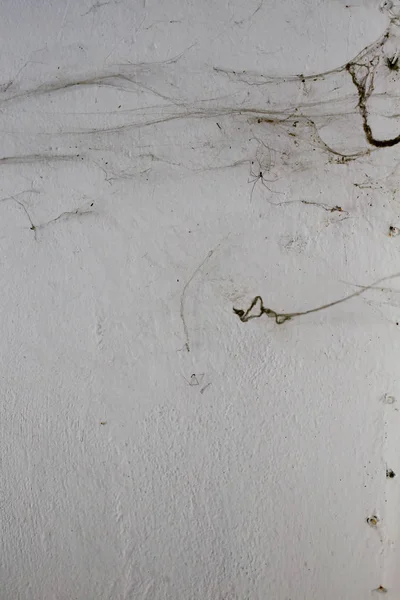 Arkaplan Olarak Duvardaki Eski Örümcek Ağları — Stok fotoğraf