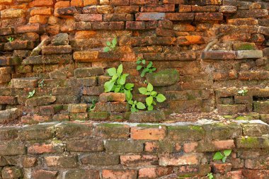 web arka plan koyu kenarlara duvar ışık.