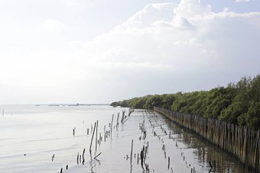 Pu Seaside Bang Hollanda beach