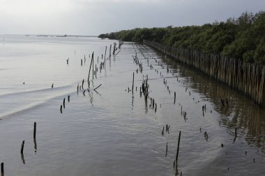 Pu Seaside Bang Hollanda beach