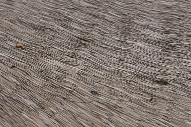 Yakın plan ahşap çizgili arka plan. 