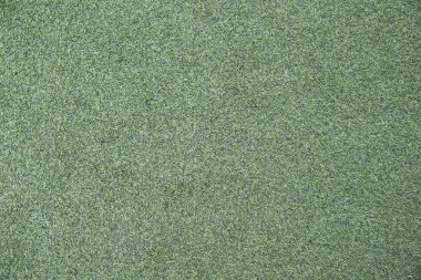 Çayırdan yeşil çimen çalısı