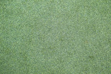 Çayırdan yeşil çimen çalısı