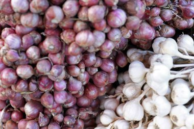 bir grup soğancık soğan