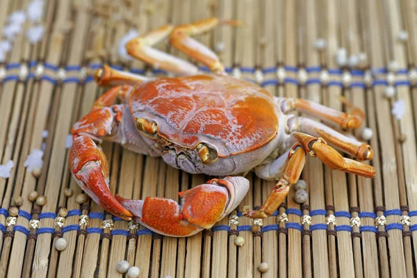 Kıllı bacak dağ Yengeç: Loei, Thailand