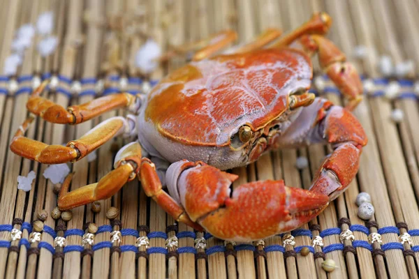 Cangrejo Montaña Pierna Peluda Loei Tailandia — Foto de Stock