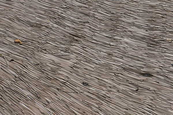 Yakın plan ahşap çizgili arka plan. 