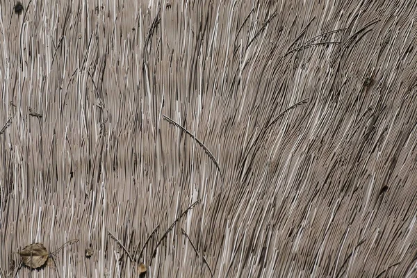 Yakın plan ahşap çizgili arka plan. 