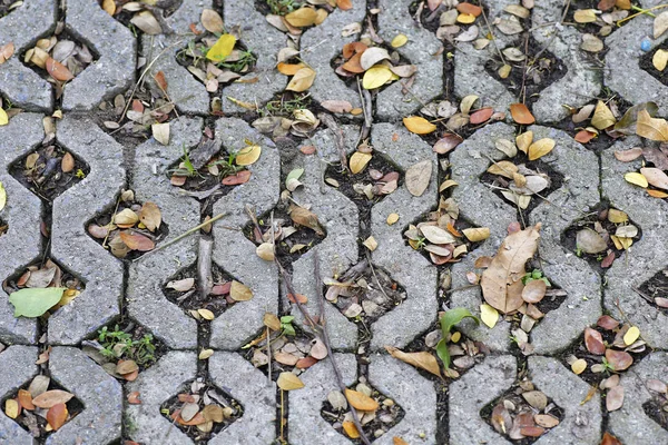 Taş yol alanında. Grunge ve retro tarzı. 